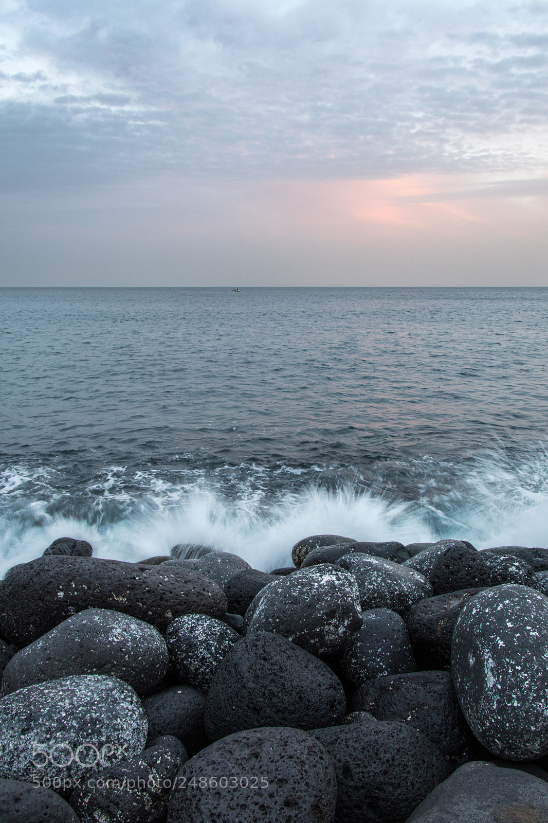Nikon D7500 sample photo. Am meer photography