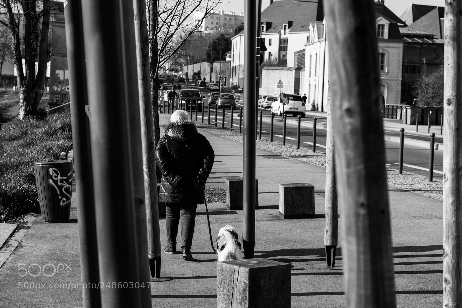 Nikon D5500 sample photo. Walking the dog photography