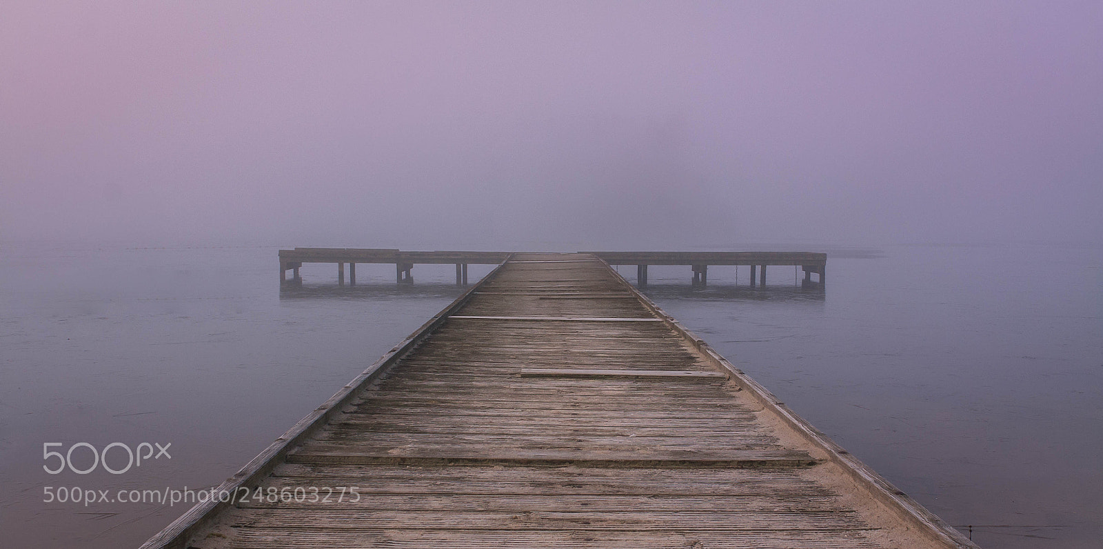 Canon EOS 450D (EOS Rebel XSi / EOS Kiss X2) sample photo. Foggy morning at the photography