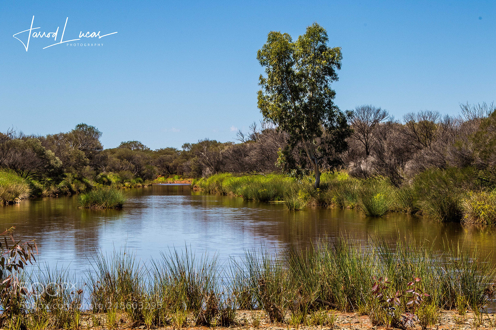 Canon EOS 7D Mark II sample photo. Laverton flooding photography
