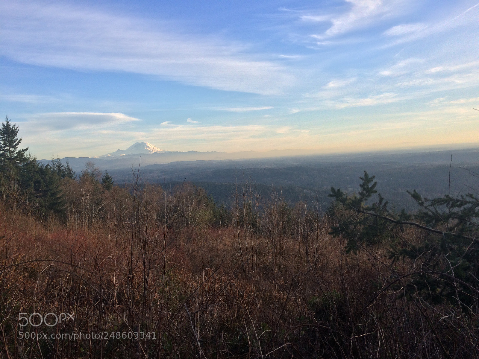 Apple iPhone 5s sample photo. Deep breaths photography