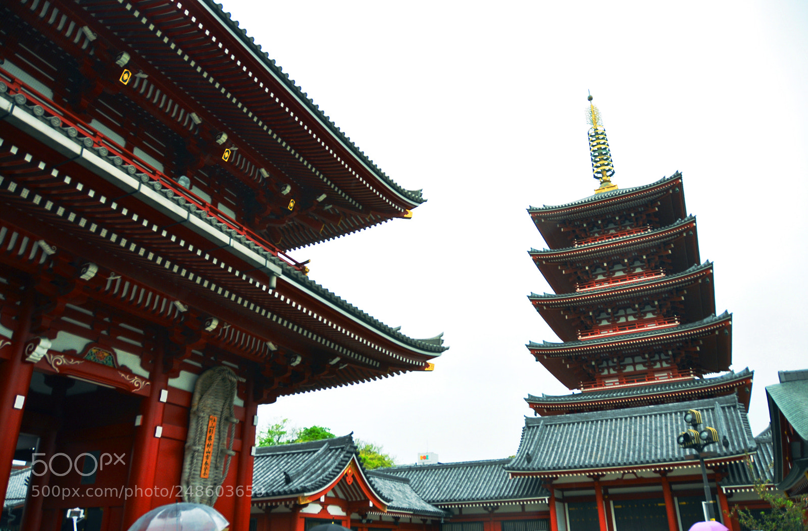Nikon D5000 sample photo. Medieval era towers photography