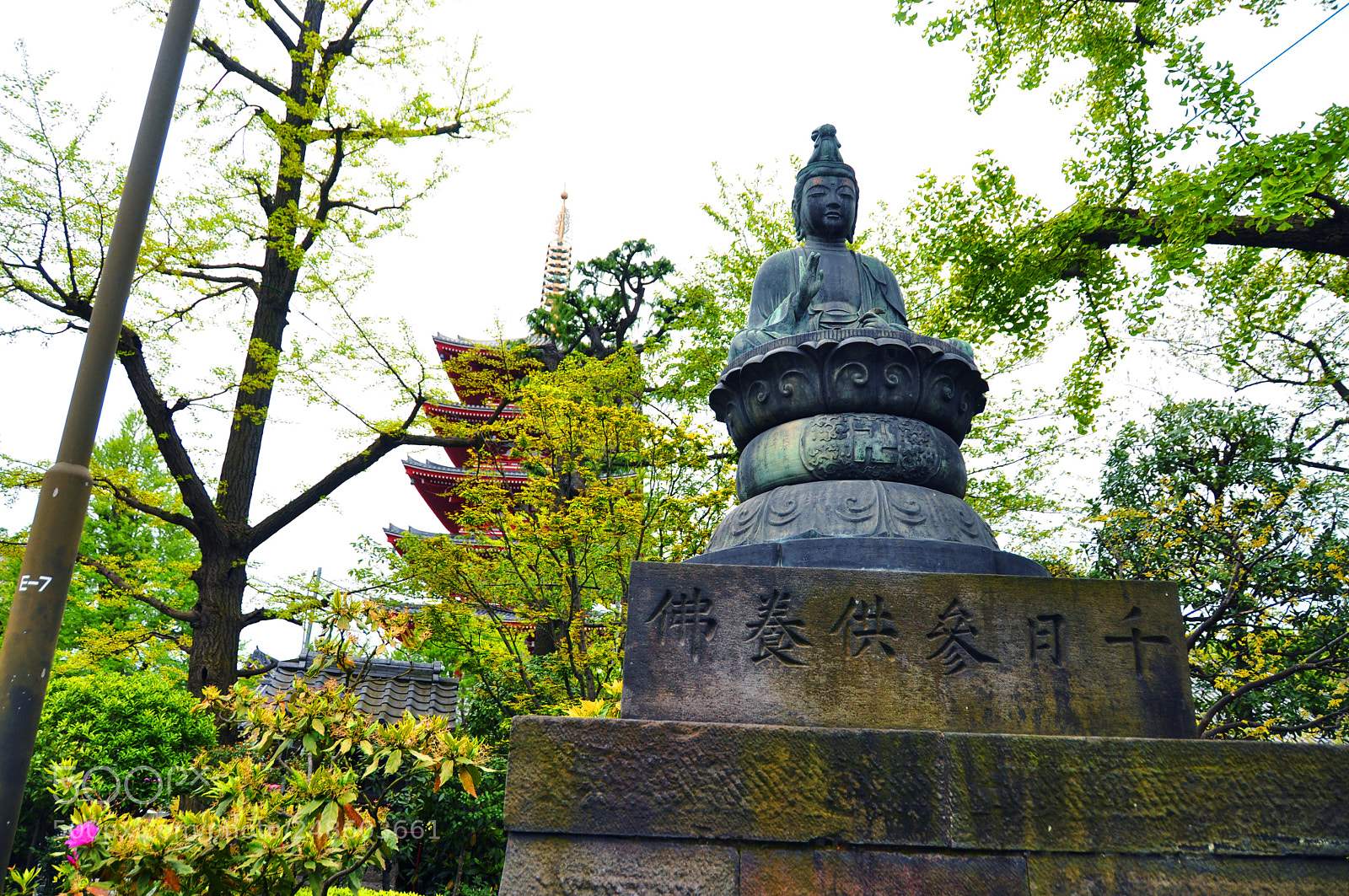 Nikon D5000 sample photo. Green peace photography