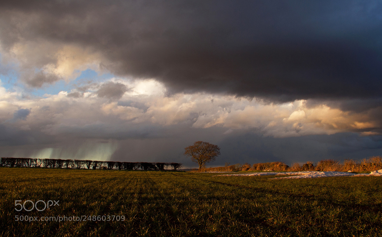 Canon EOS 7D sample photo. March field photography