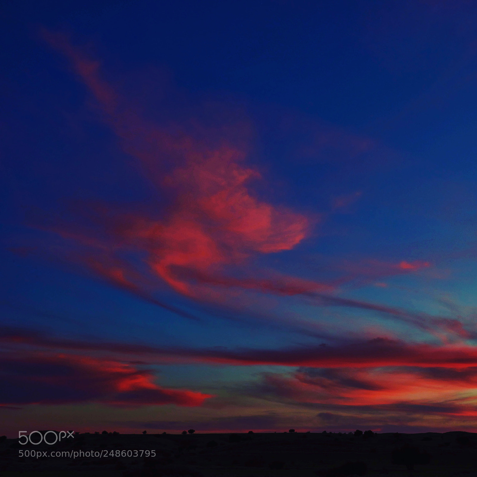 Nikon D810 sample photo. Sun set photography