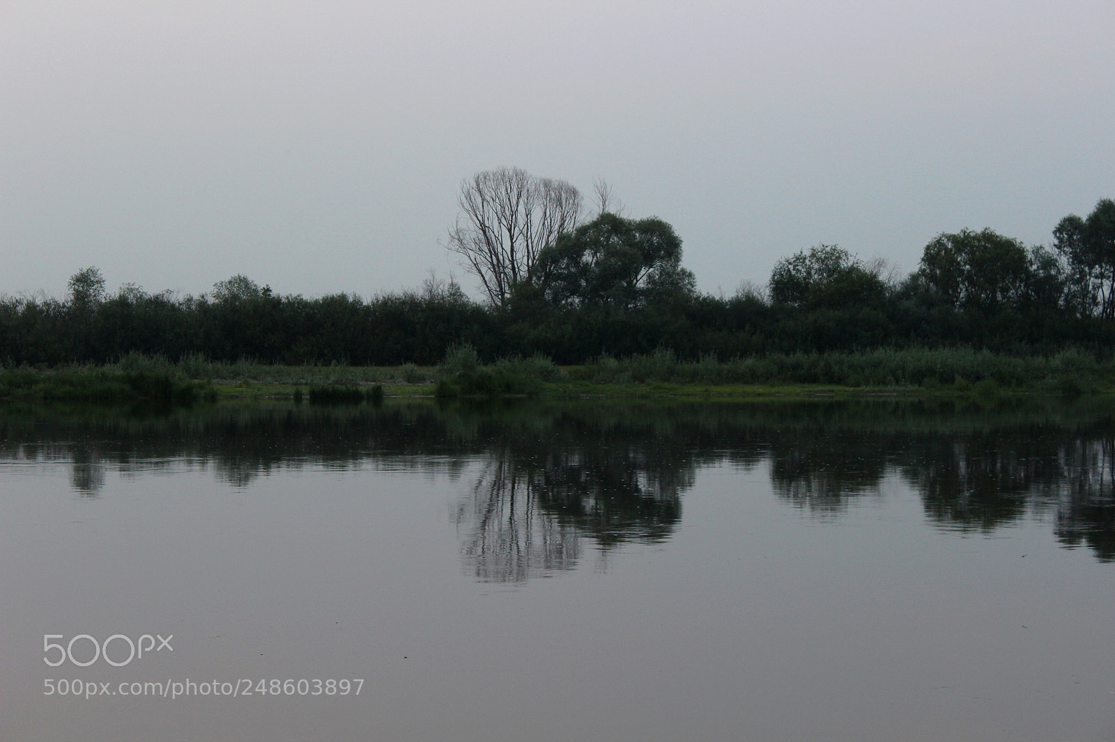 Canon EOS 600D (Rebel EOS T3i / EOS Kiss X5) sample photo. Dnieper photography