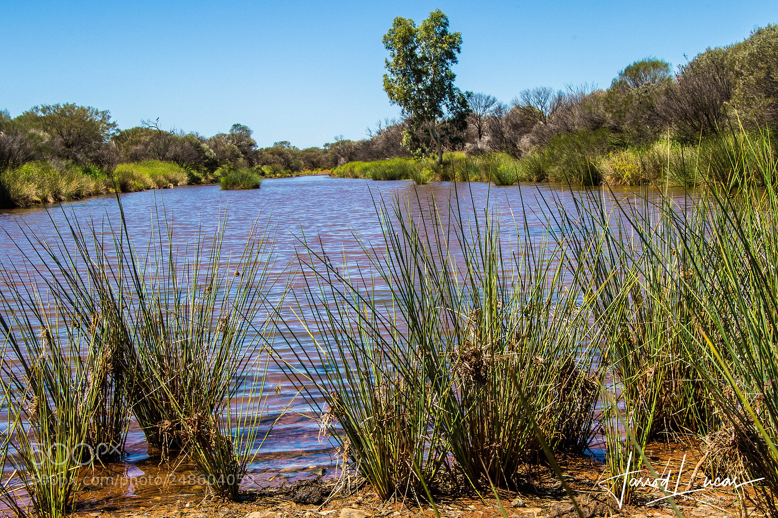 Canon EOS 7D Mark II sample photo. Flooded desert photography