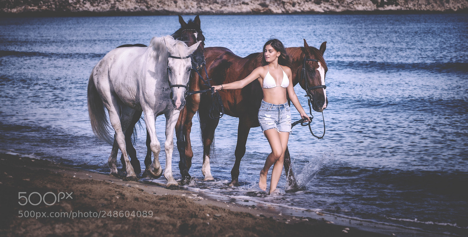 Nikon D610 sample photo. Girl & horses photography