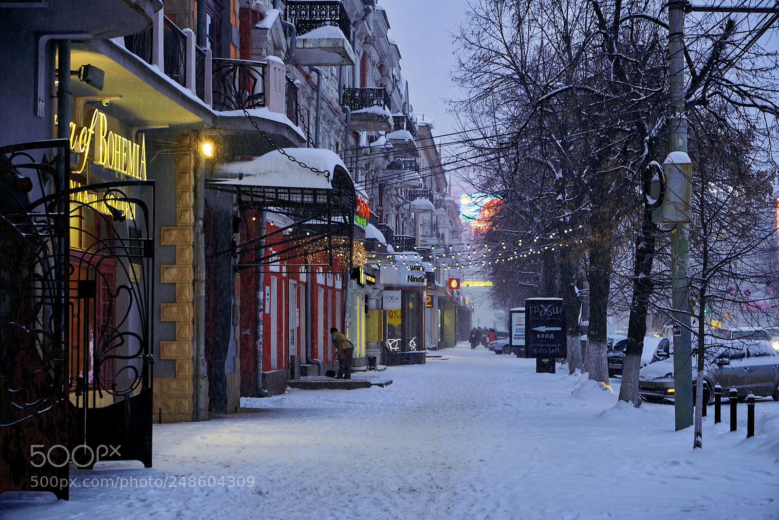 Sony a7R sample photo. Spring in voronezh) photography