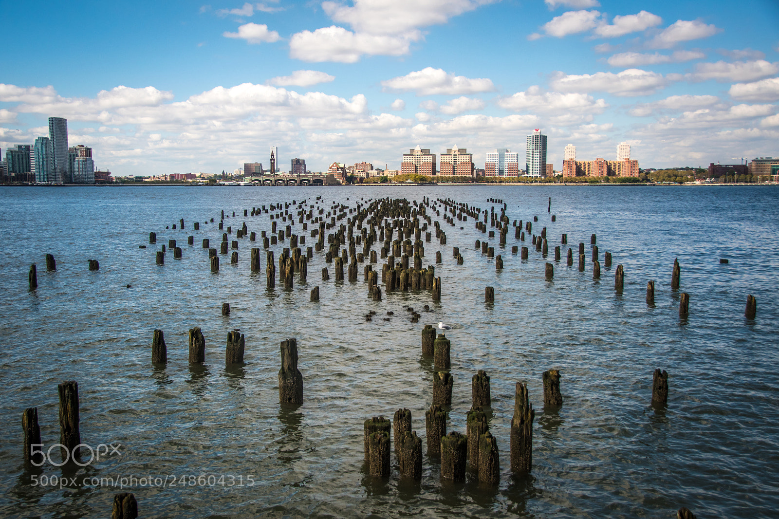 Nikon D5500 sample photo. Jersey photography