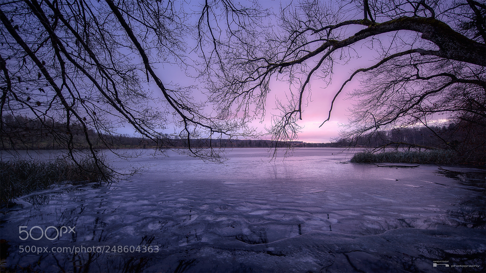 Nikon D810 sample photo. Morgenstimmung katzensee photography