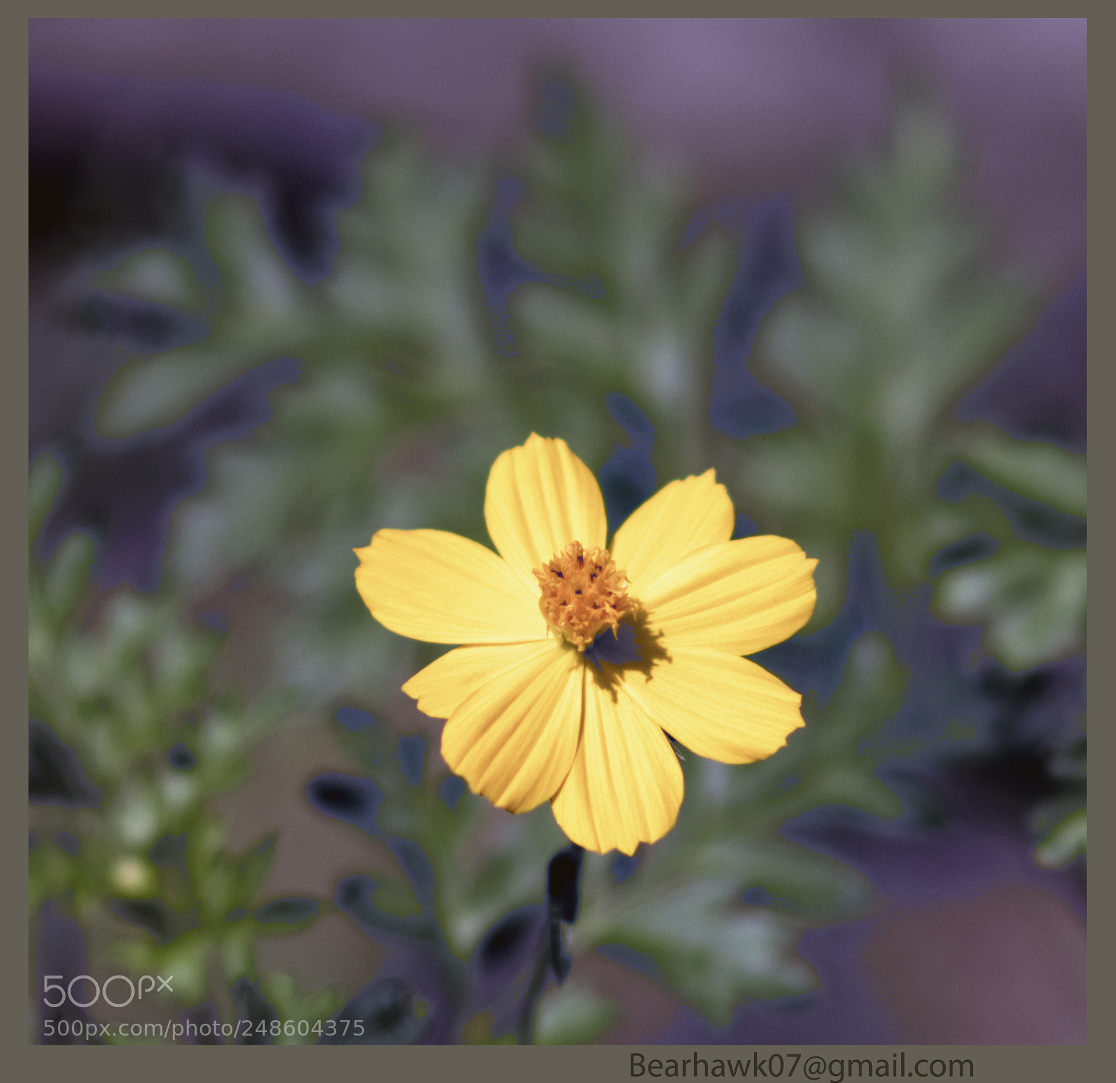 Nikon D7200 sample photo. Copy photography