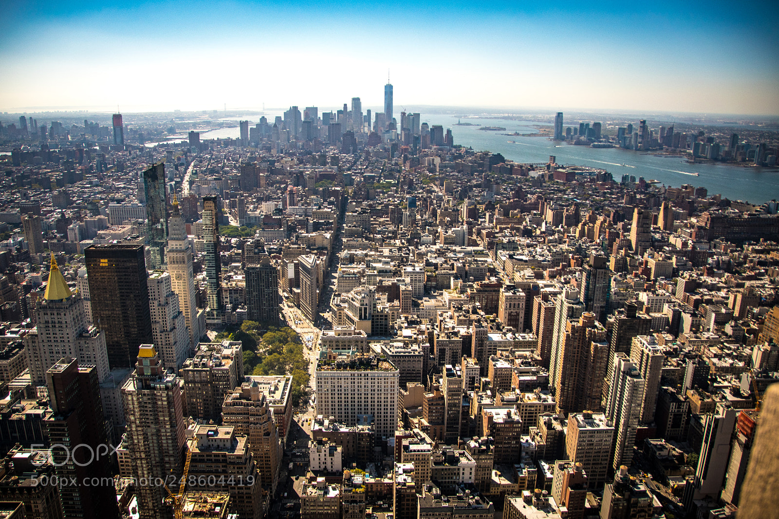 Nikon D5500 sample photo. The big apple photography