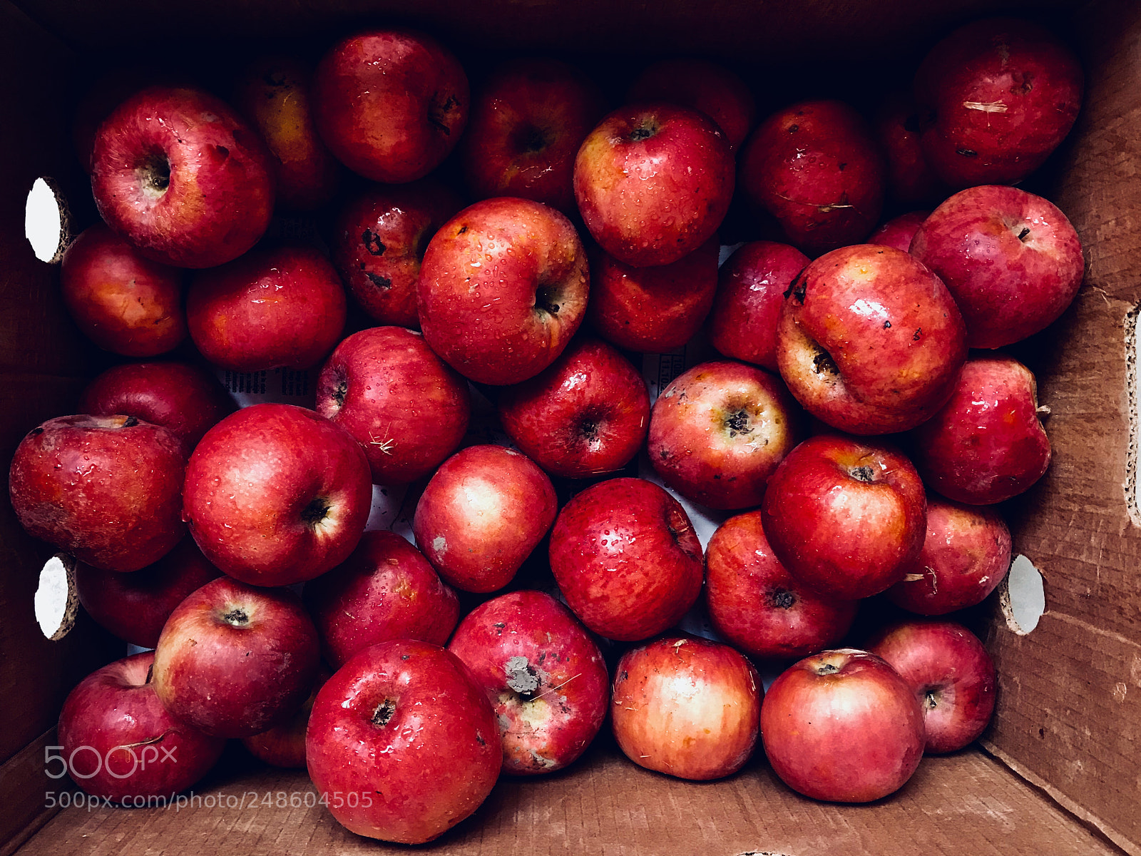 Apple iPhone 7 sample photo. Healthy fresh apples photography