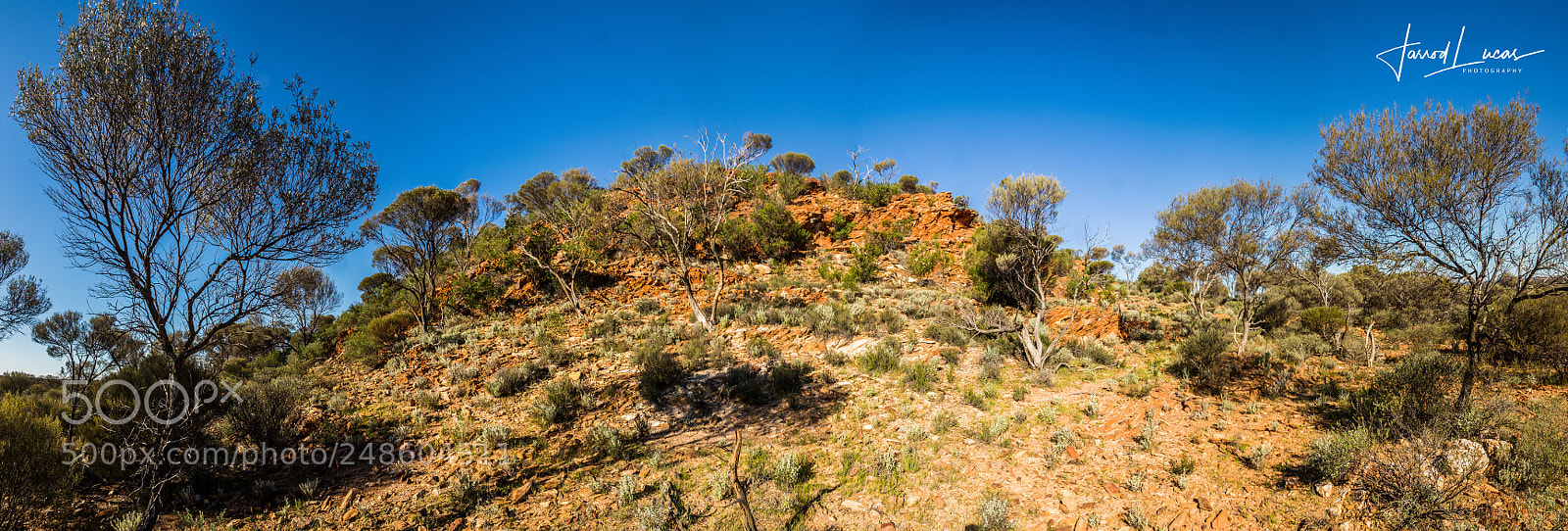 Canon EOS 7D Mark II sample photo. Bush landscape photography