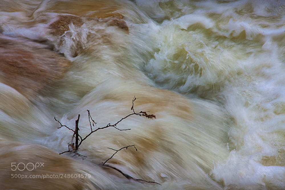 Canon EOS 40D sample photo. Trapped in the water photography