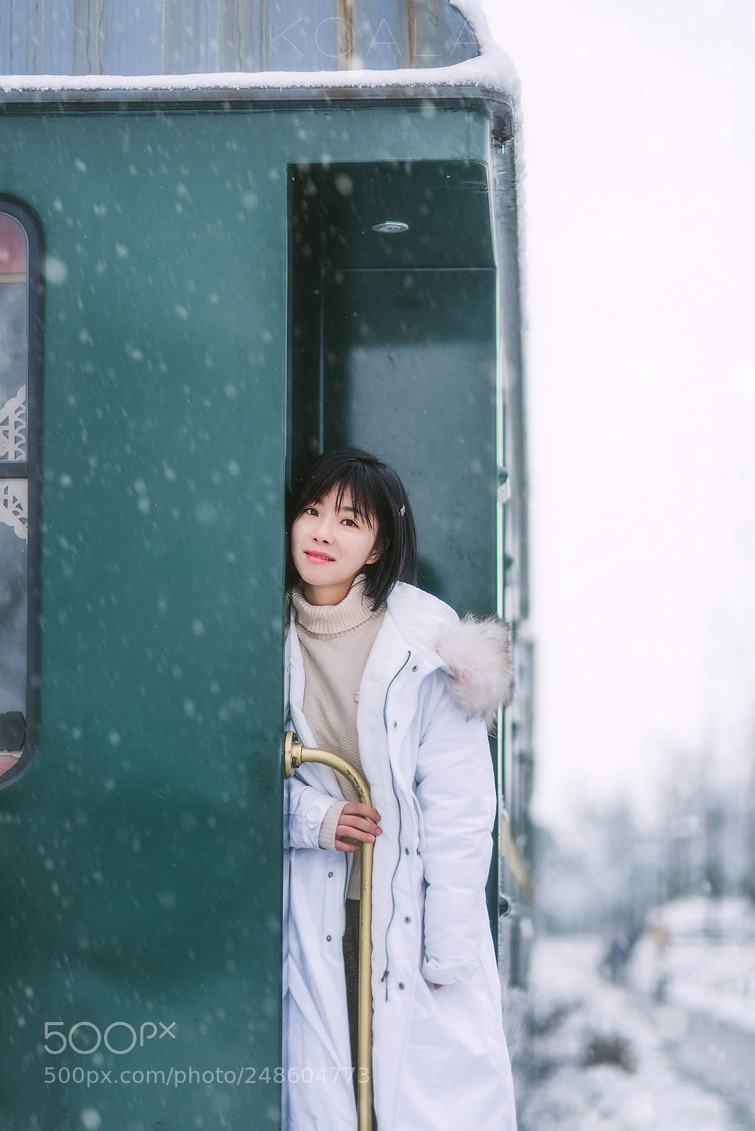 Nikon D810 sample photo. 雪中即景 photography
