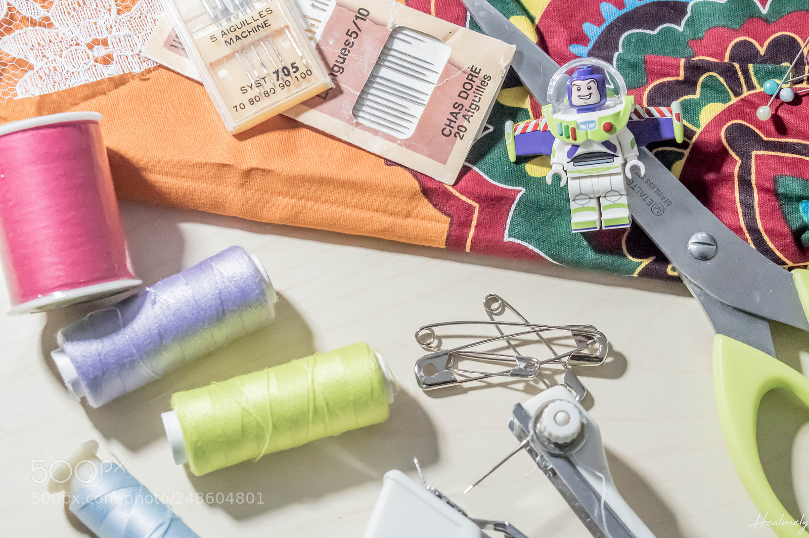 Nikon D5500 sample photo. Buzz and sewing photography