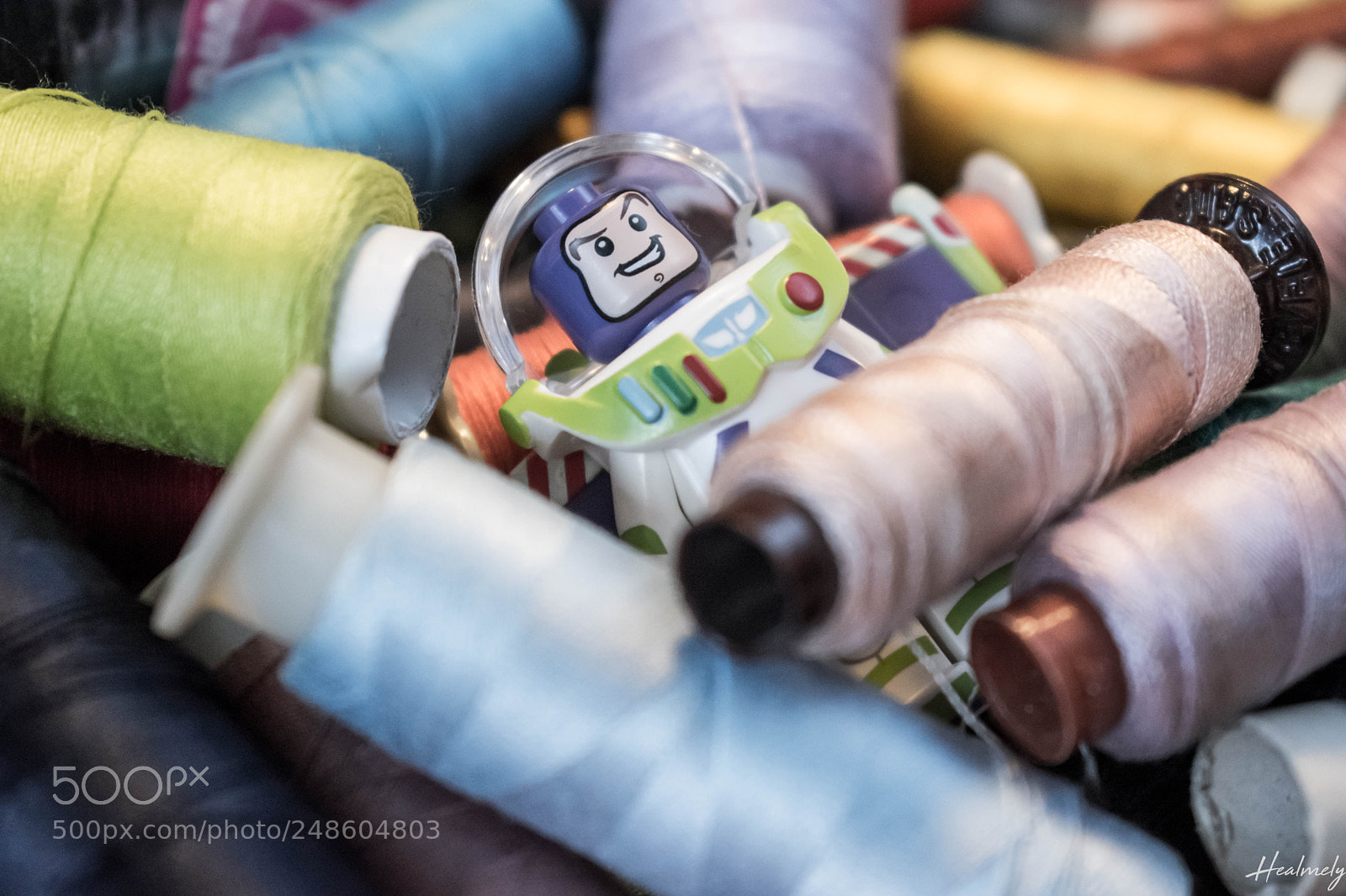Nikon D5500 sample photo. Buzz and sewing photography