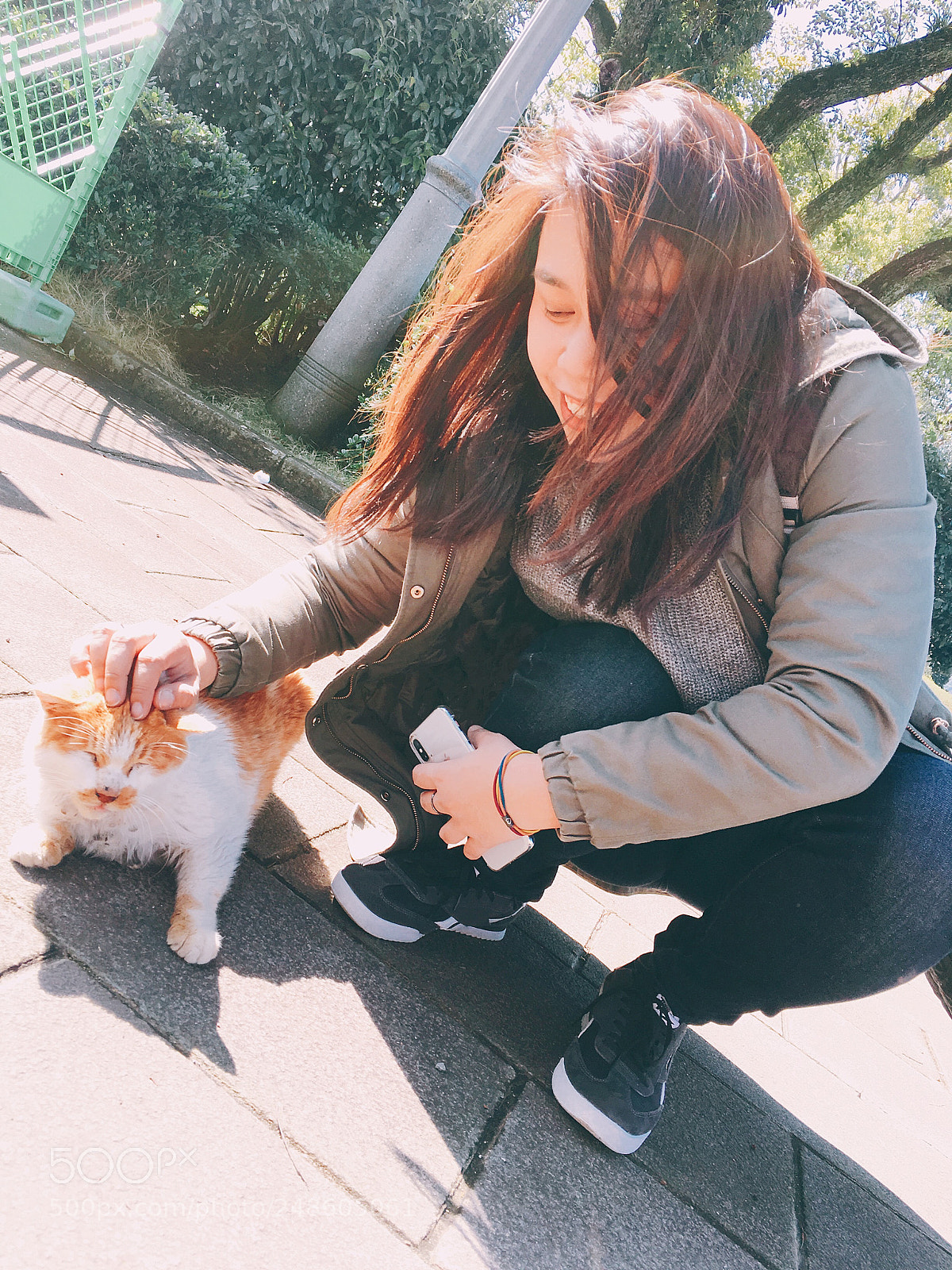 Apple iPhone 6s sample photo. Cat lovers photography