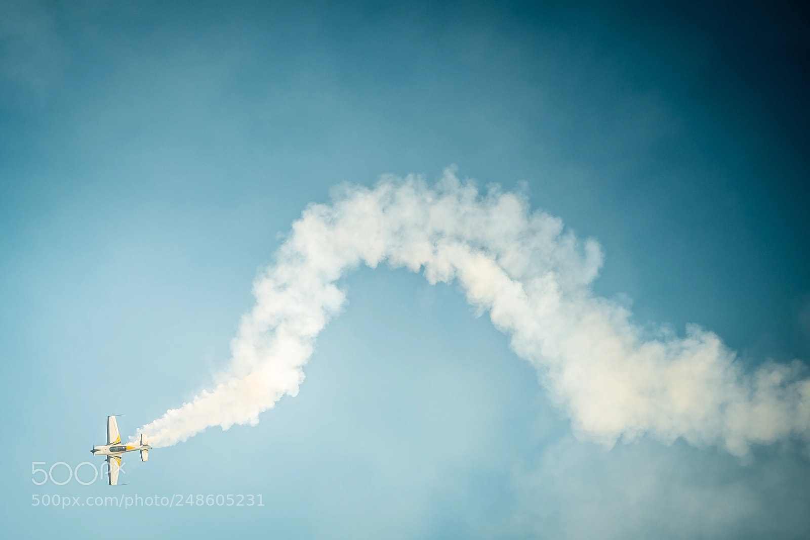 Nikon D600 sample photo. Dangerous flight photography