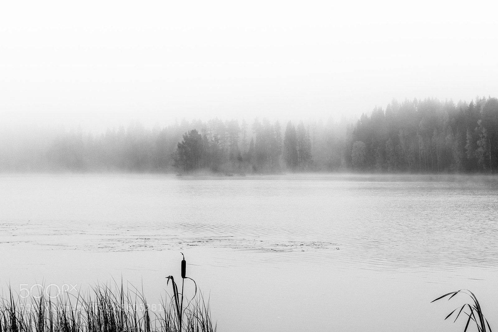 Nikon D810 sample photo. Untitled photography