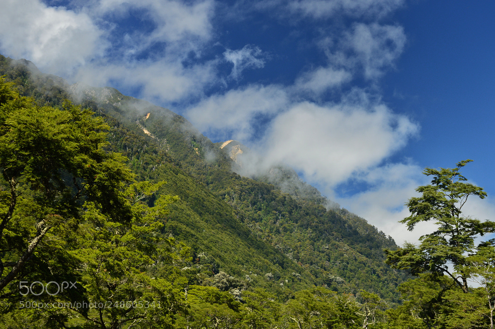 Nikon D3200 sample photo. Mountains of petrohue photography