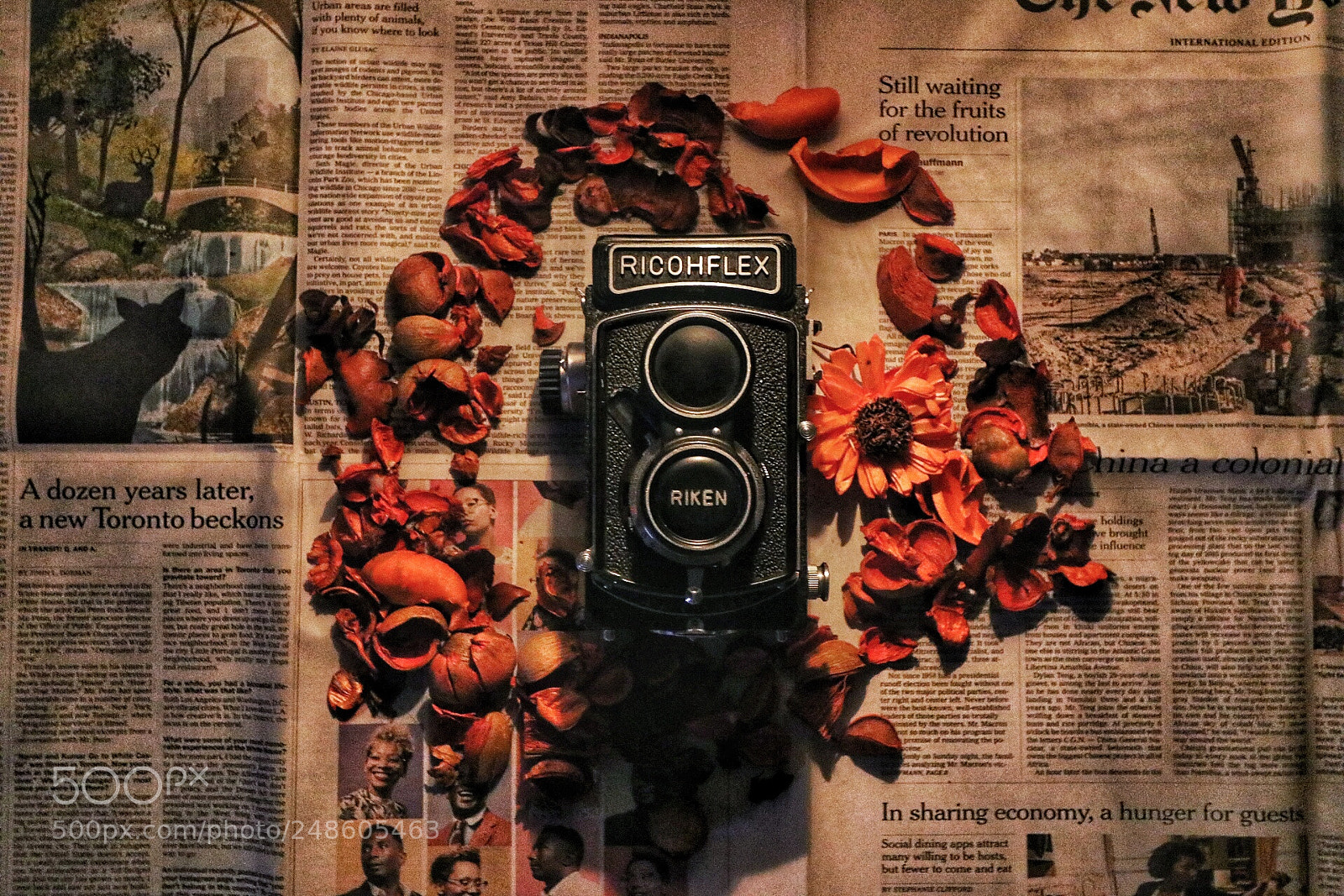 Canon EOS 80D sample photo. Photo life photography