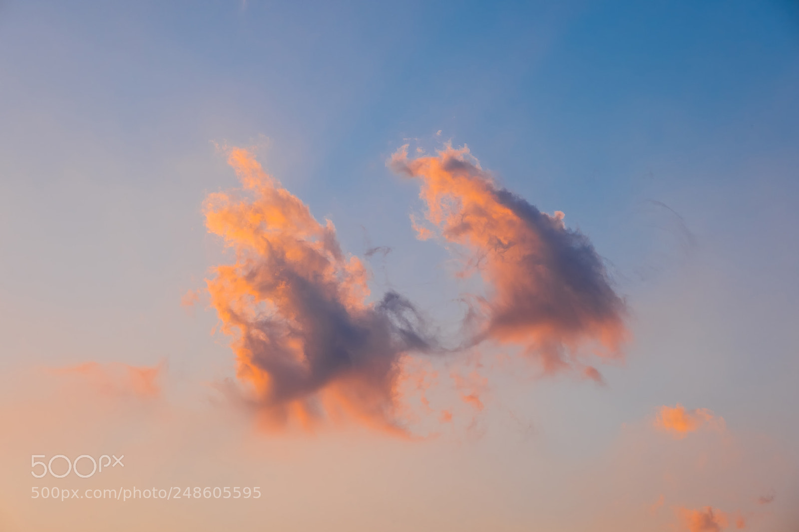 Fujifilm X-T2 sample photo. Soft, fluffy and colorful photography