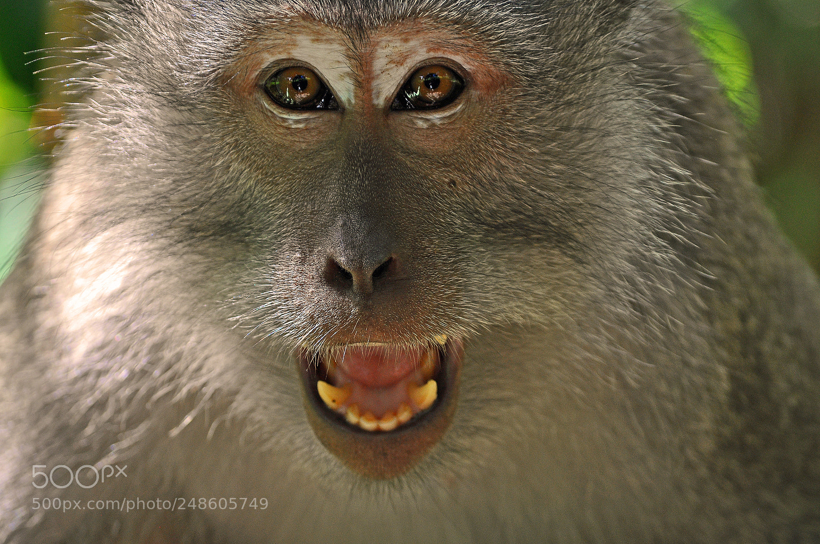 Nikon D90 sample photo. Encountered on mount rinjani photography