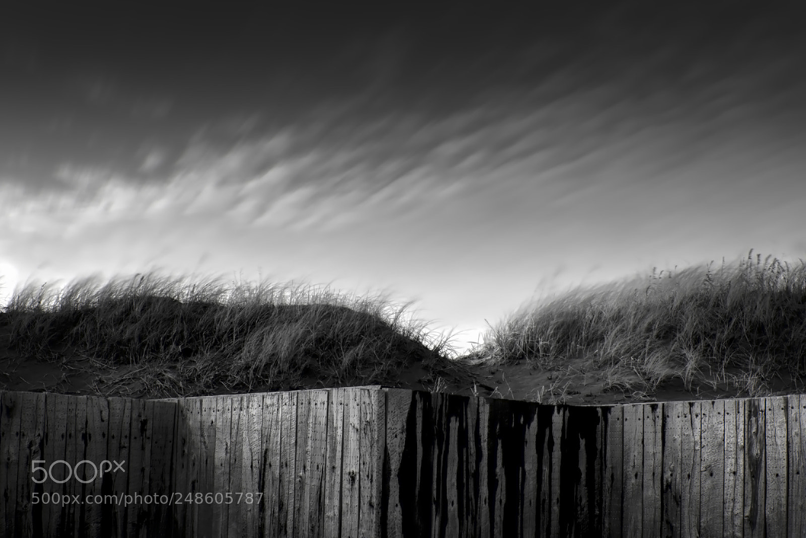 Nikon D610 sample photo. Evening light ... photography