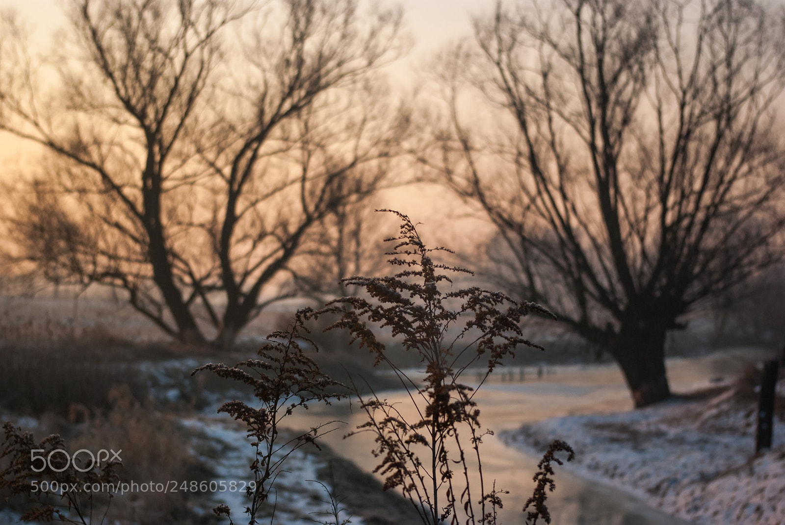 Pentax K10D sample photo. Sunrise photography