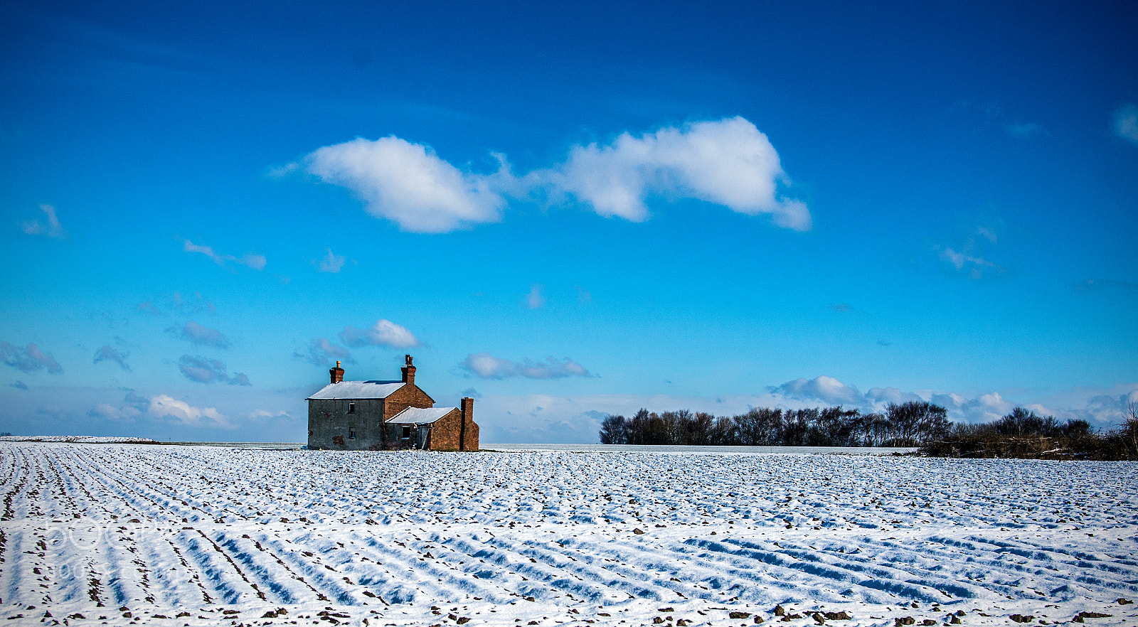 Nikon D7200 sample photo. Last snow of winter photography