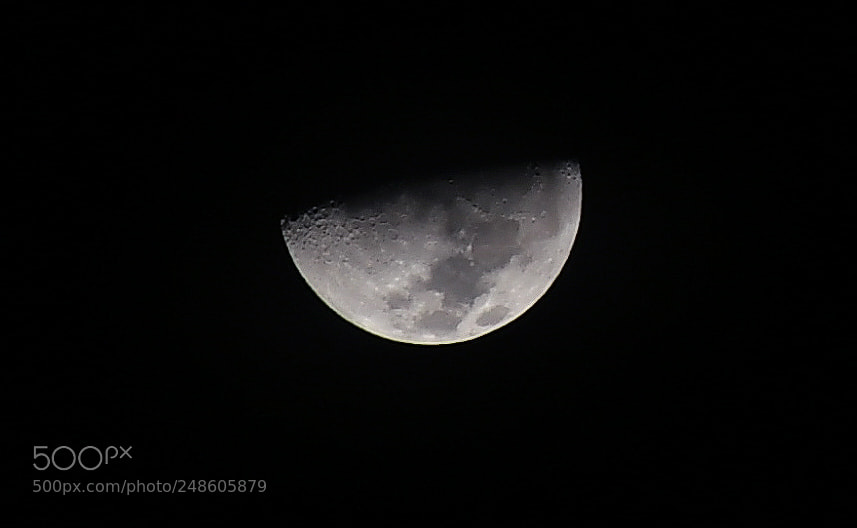 Nikon D7500 sample photo. Moonlight photography