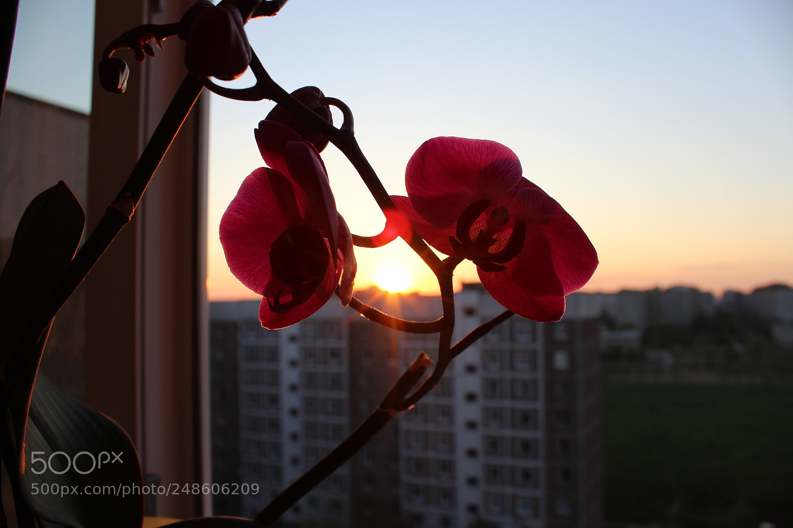 Canon EOS 600D (Rebel EOS T3i / EOS Kiss X5) sample photo. Dawn photography
