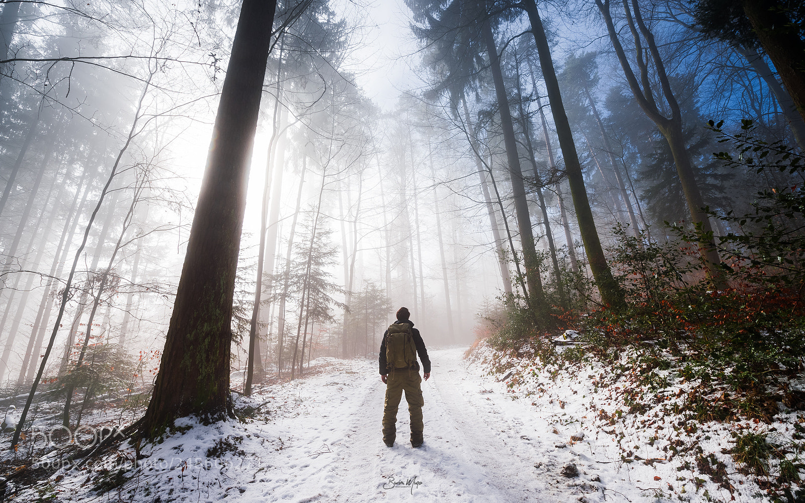 Nikon Df sample photo. Morning walk at the photography