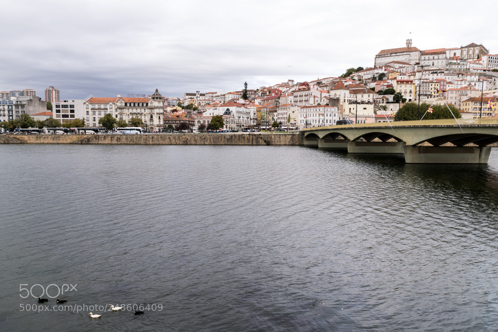Nikon D5300 sample photo. Coimbra photography
