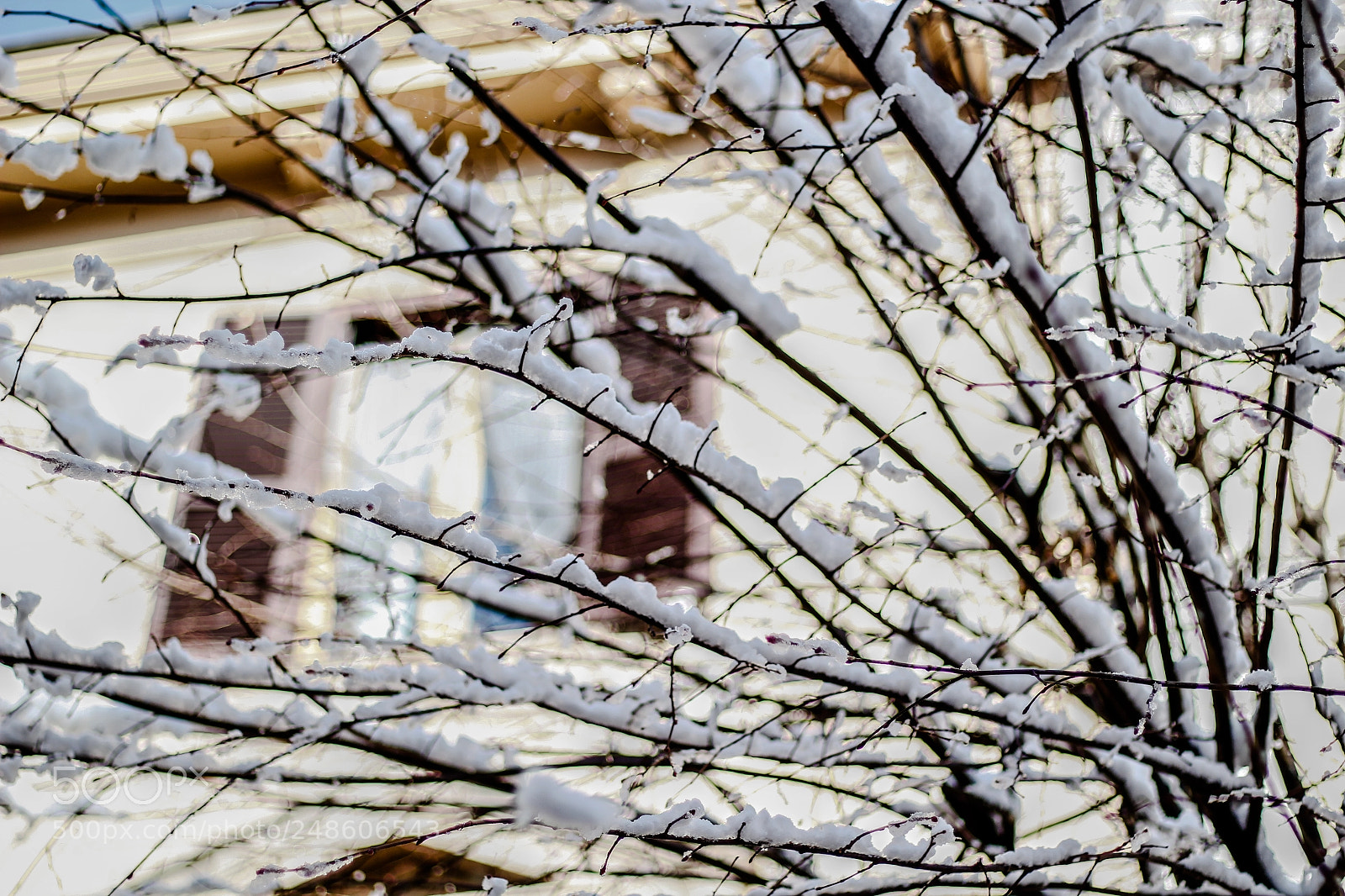 Canon EOS 60D sample photo. Verso il cielo photography