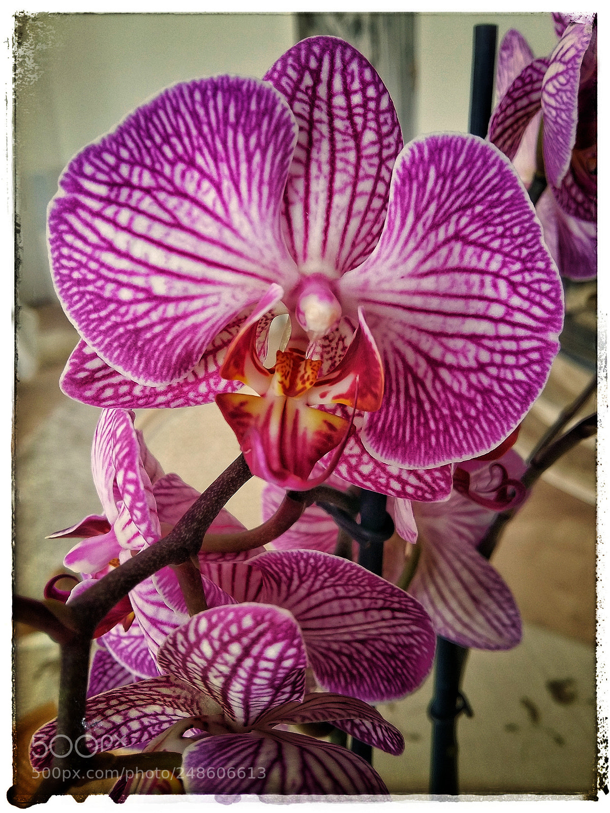 Samsung Galaxy A5 sample photo. Object 1953 photography