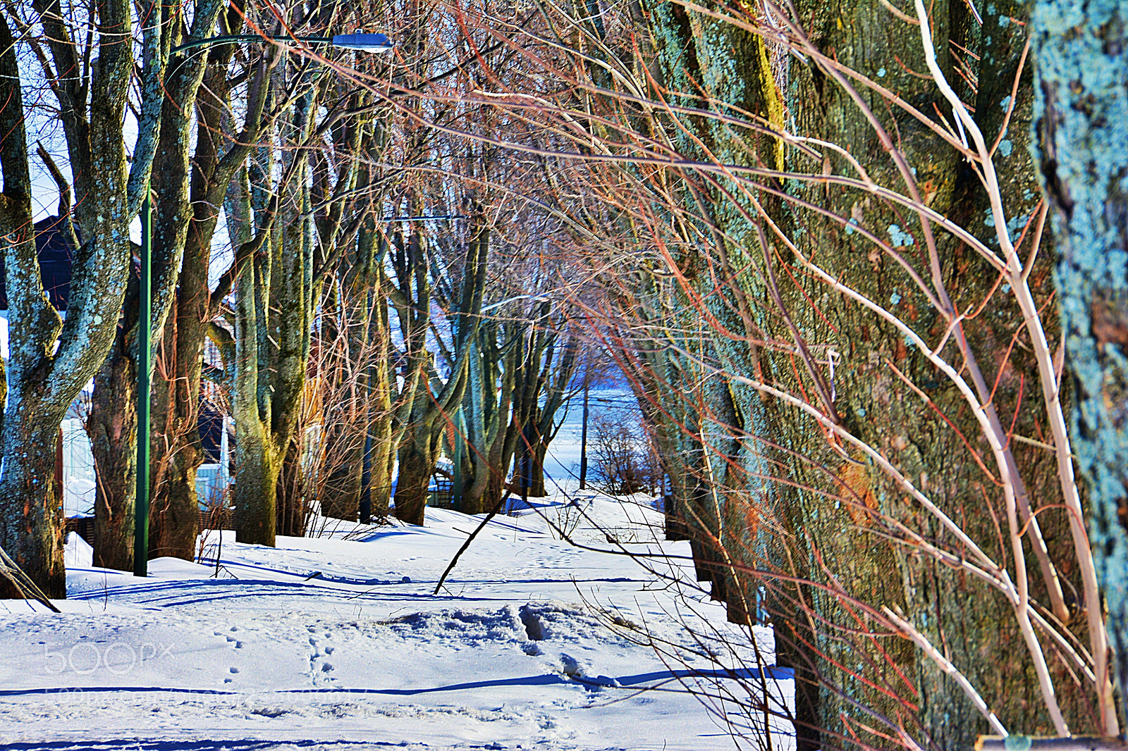 Nikon D7100 sample photo. Rue ferm e pour photography