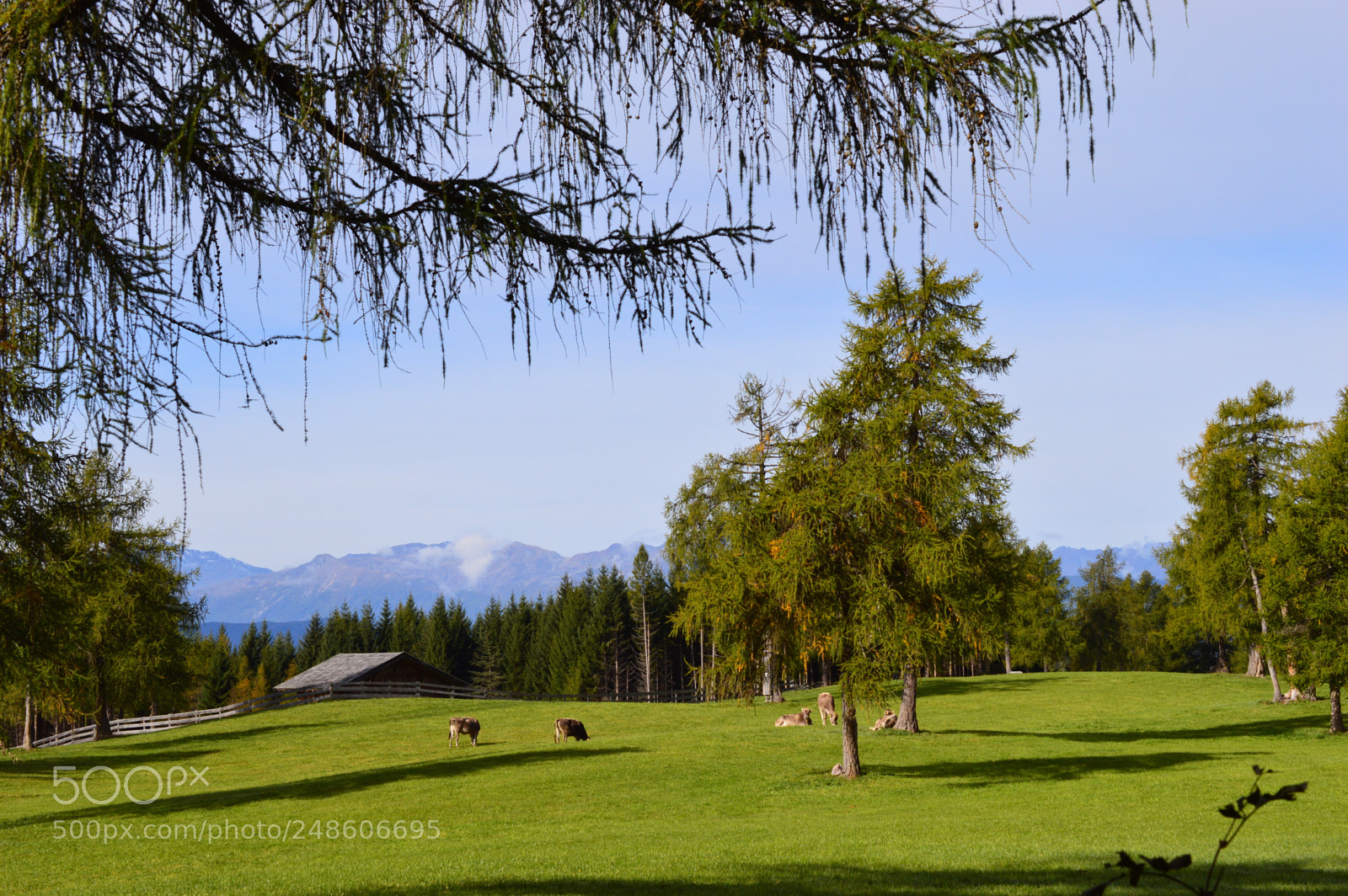 Nikon D3200 sample photo. Have a happy day photography