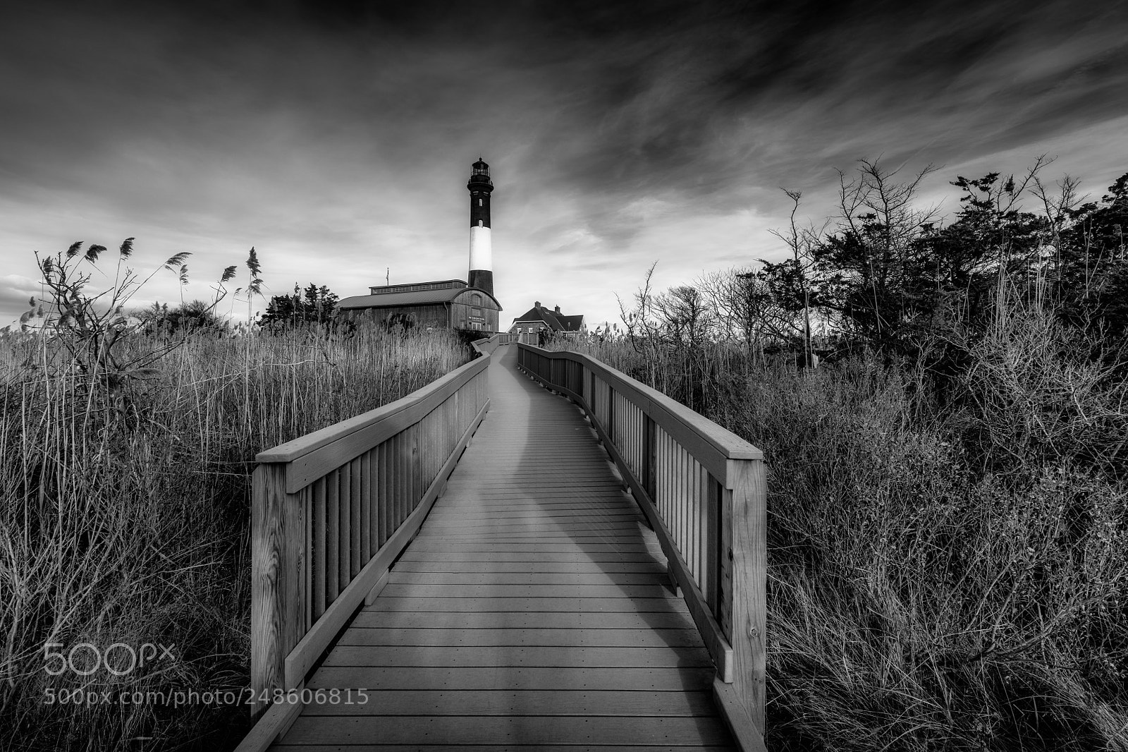 Nikon D850 sample photo. Pathway to light photography