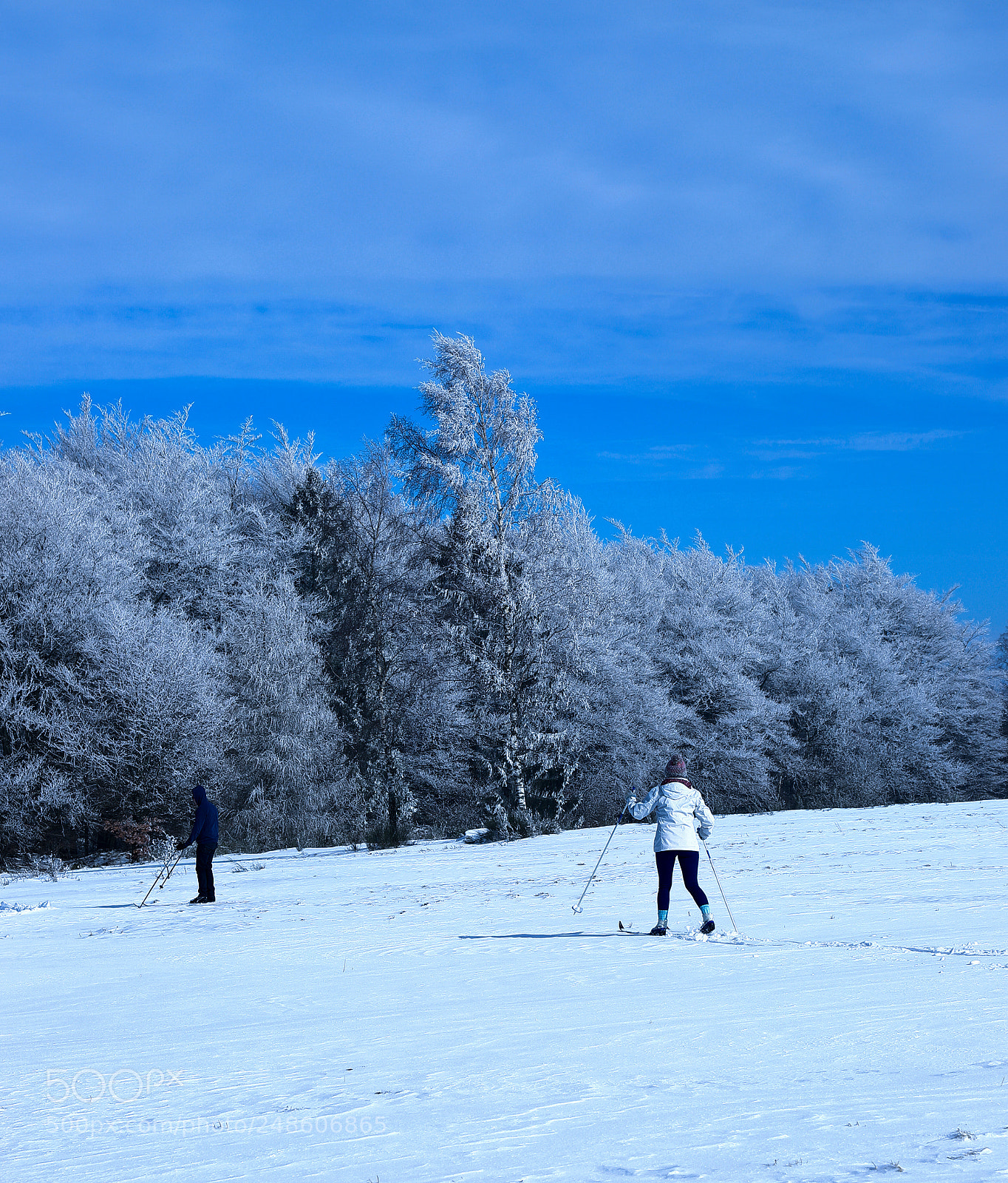 Canon EOS 6D Mark II sample photo. Skiers photography