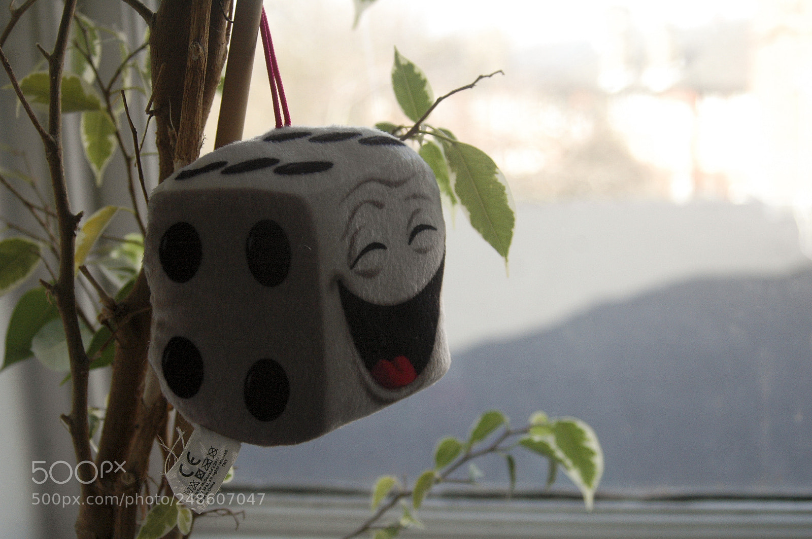 Nikon D70 sample photo. Strange corners photography