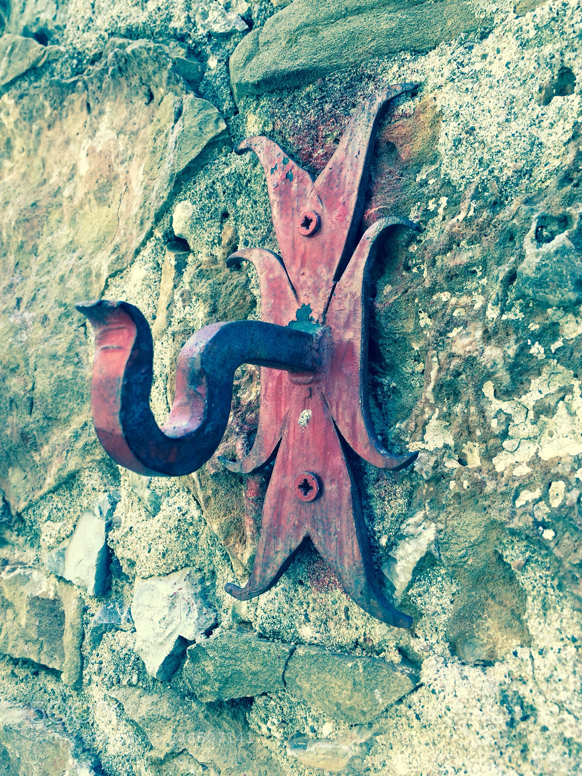Apple iPhone 5s sample photo. Red... photography