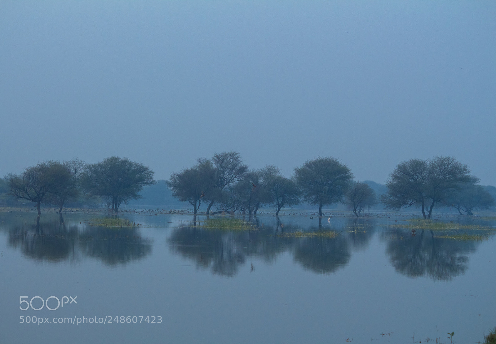 Canon EOS 700D (EOS Rebel T5i / EOS Kiss X7i) sample photo. Fine art photography