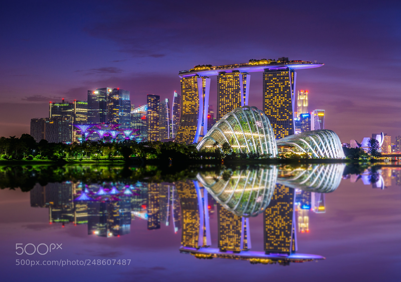 Nikon D7100 sample photo. Upside down photography