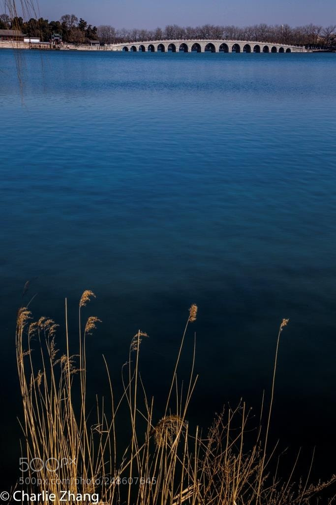 Canon EOS-1D X sample photo. Untitled photography