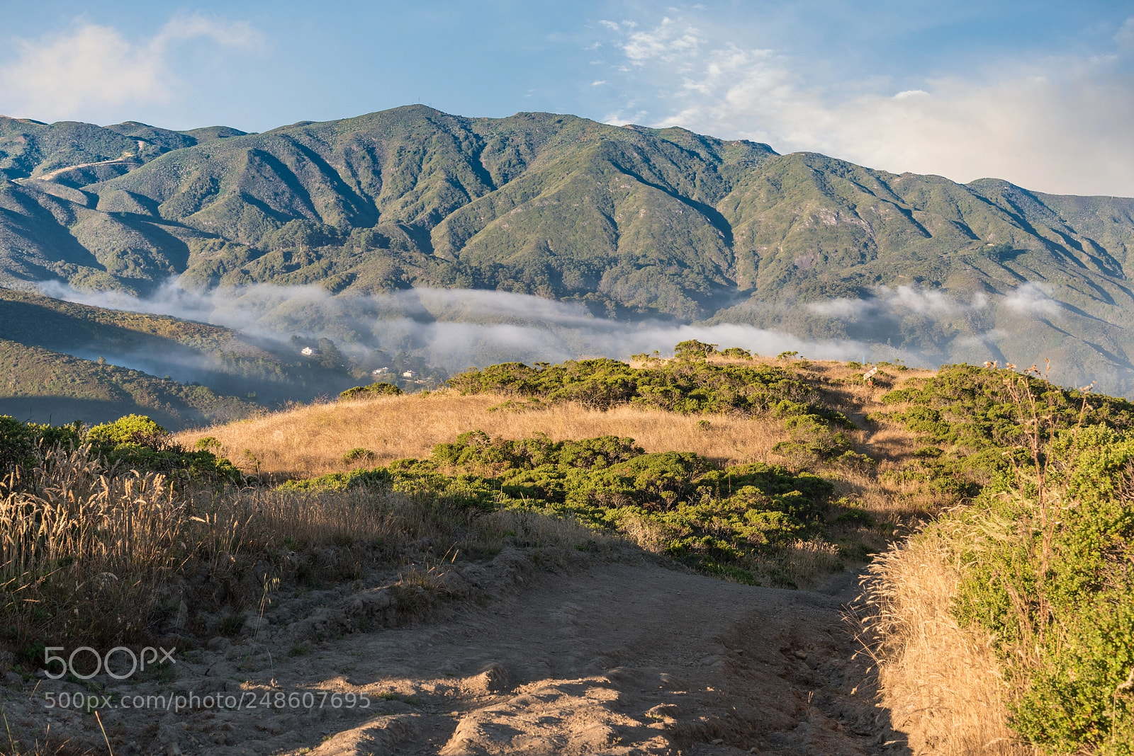 Nikon D750 sample photo. Sweeney ridge photography