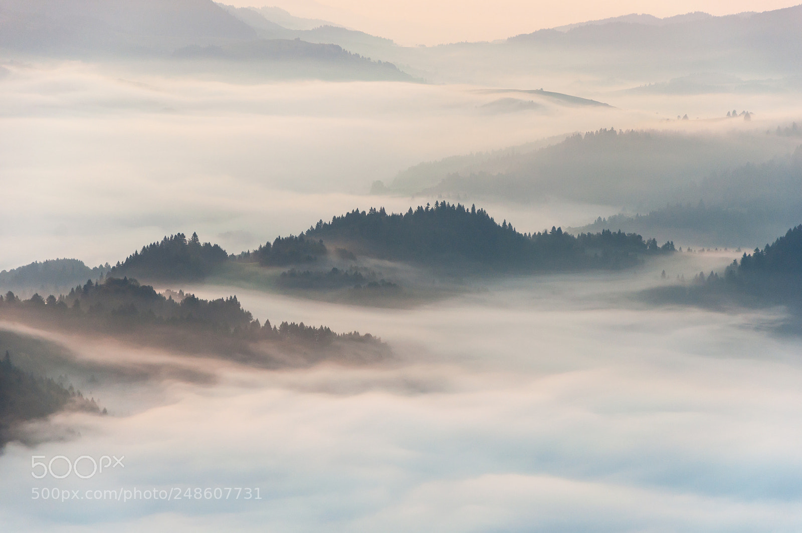Nikon D90 sample photo. Foggy photography